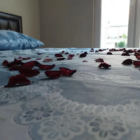 Ebru Pansiyon Unye Suit Ordu Unye فندق اسطنبول