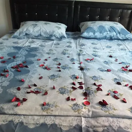 Ebru Pansiyon Unye Suit Ordu Unye 3*